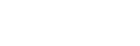 fanfan vape shop logo